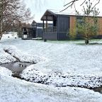 Дом (FOREST BBQ PARKLANE RESIDENCE), Загородный отель Эмбиент парк