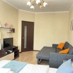 Квартира (DreamApart вид на OZON Arena), Апартаменты DreamApart