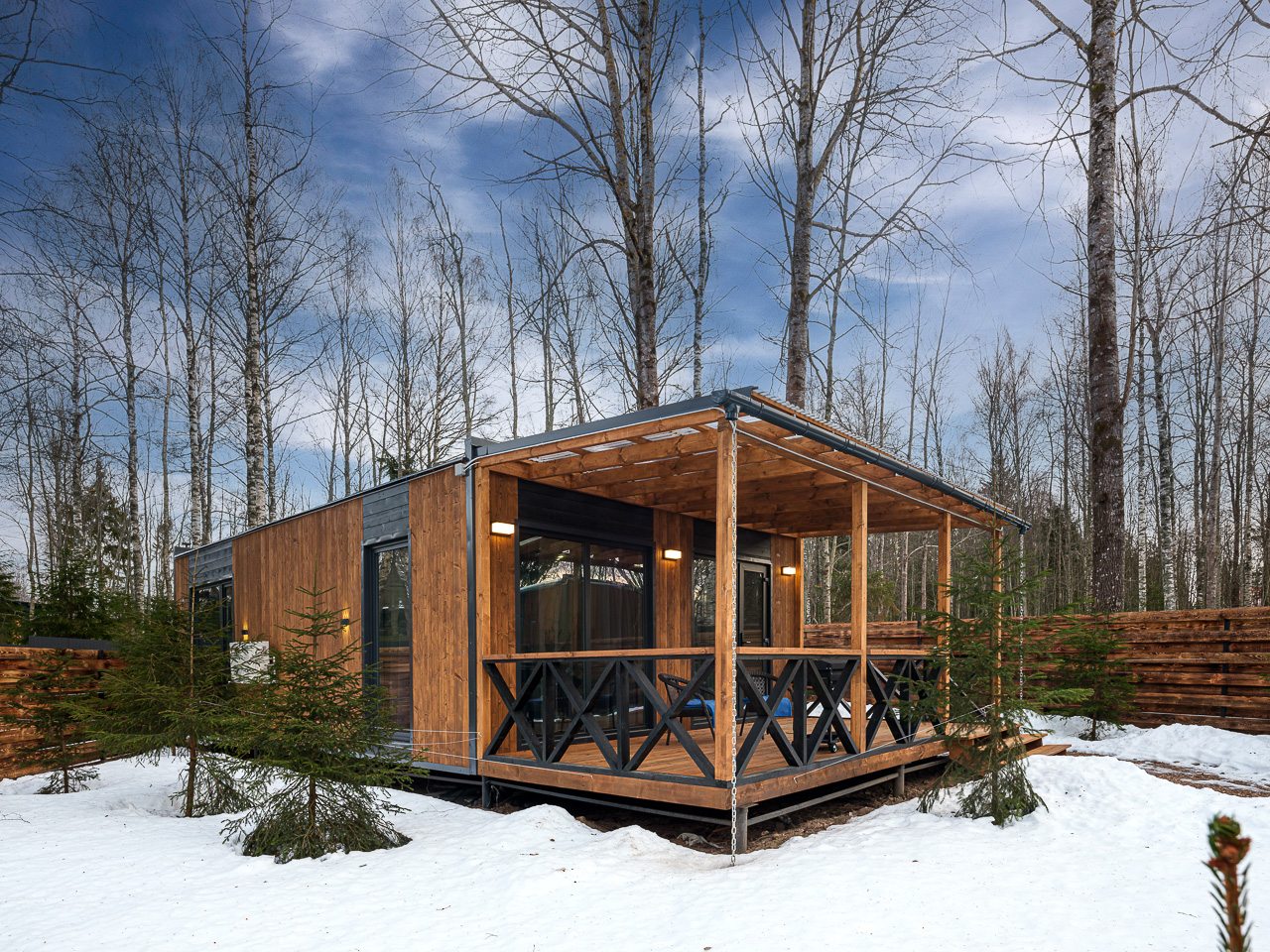 Коттедж (Коттедж в хвойном лесу №3), Дом отдыха Шишкин Плейс