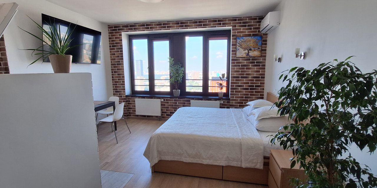 Общий вид квартиры-студии