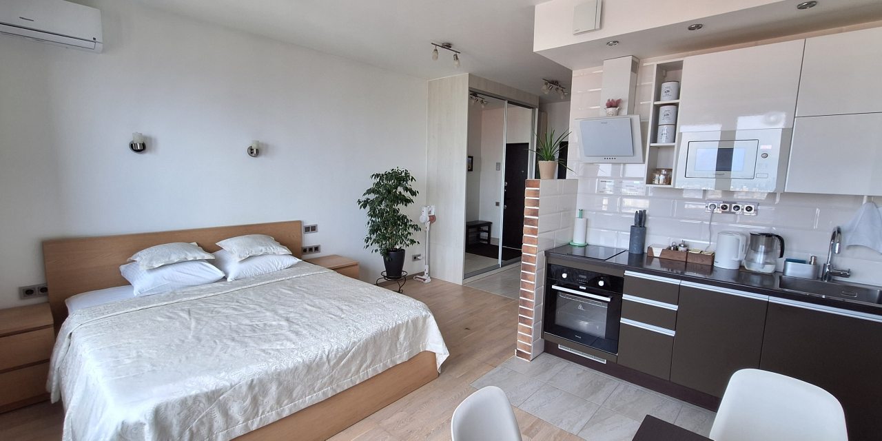 Общий вид квартиры-студии, кухня