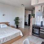 Общий вид квартиры-студии, кухня