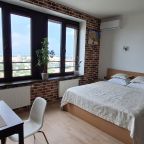 Общий вид квартиры-студии