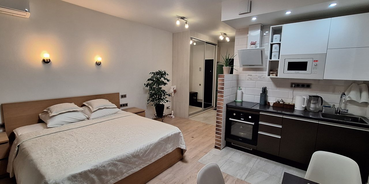 Общий вид квартиры-студии