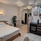 Общий вид квартиры-студии