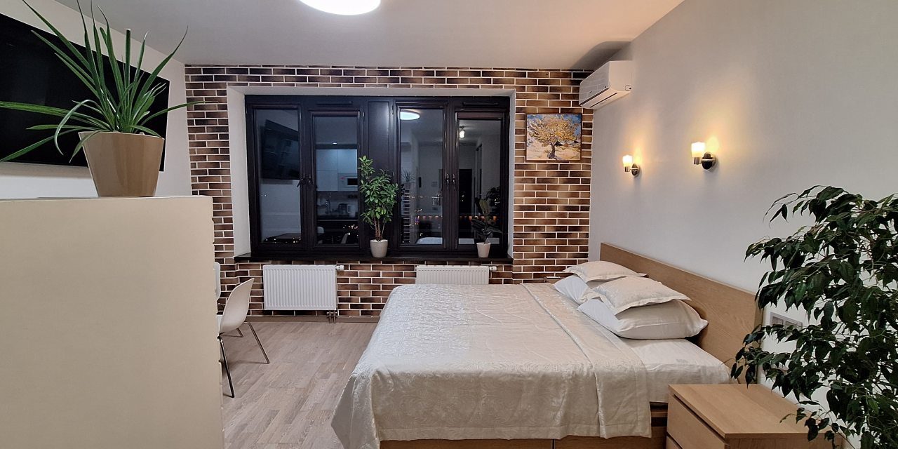 Общий вид квартиры-студии