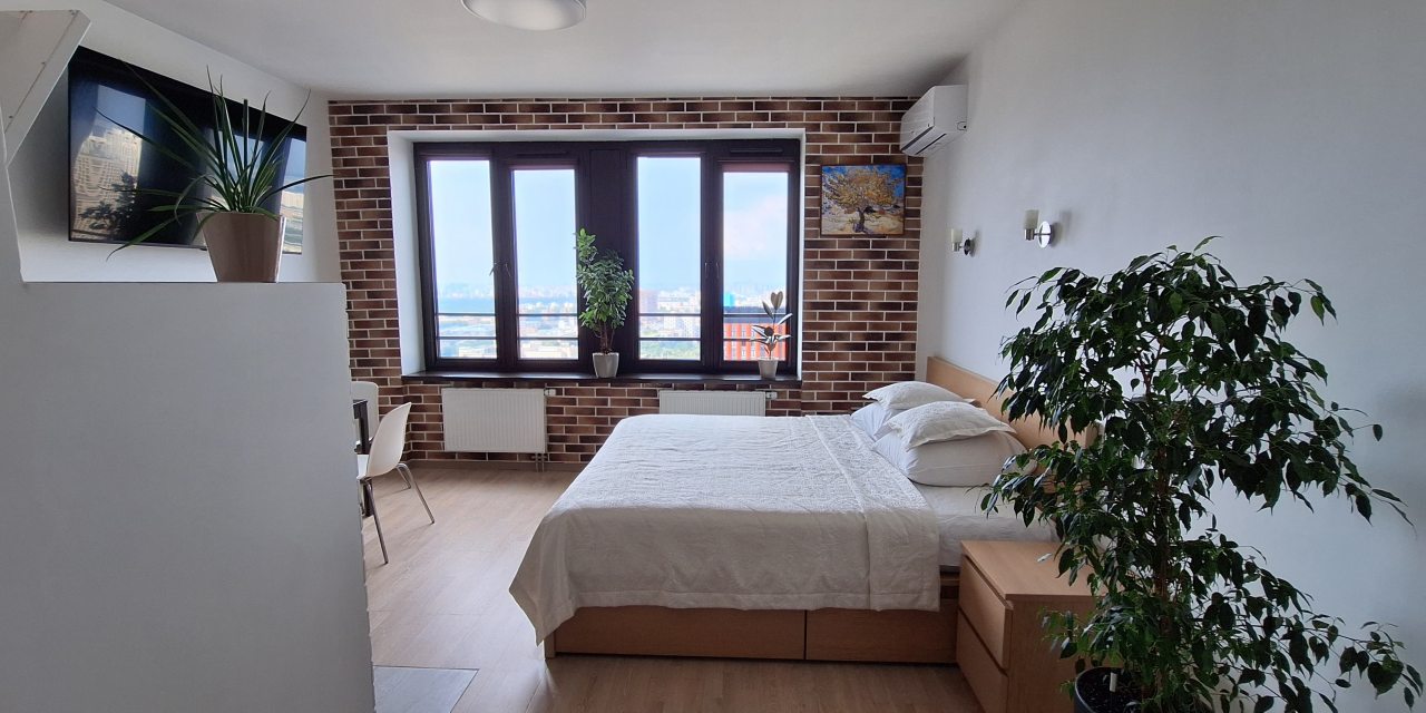 Общий вид квартиры-студии