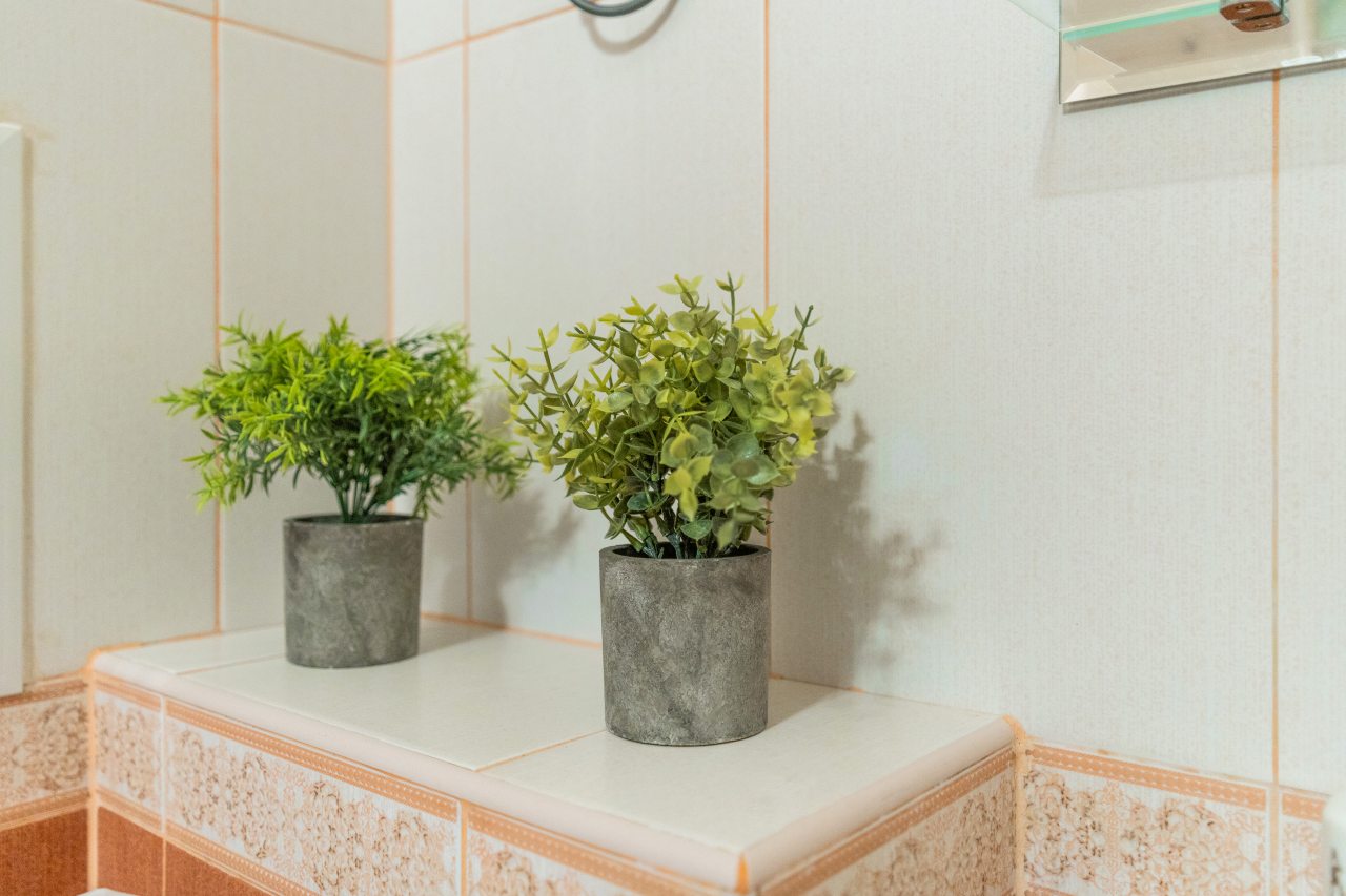 Апартаменты (Мечты В Шаге От Парка Краснодар), Апартаменты Мечты В Шаге От Парка Краснодар