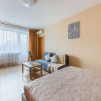 Апартаменты, Апартаменты ApartLux на Дубининской 19