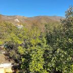 Сад, Гостевой дом ДЕЖАВЮ