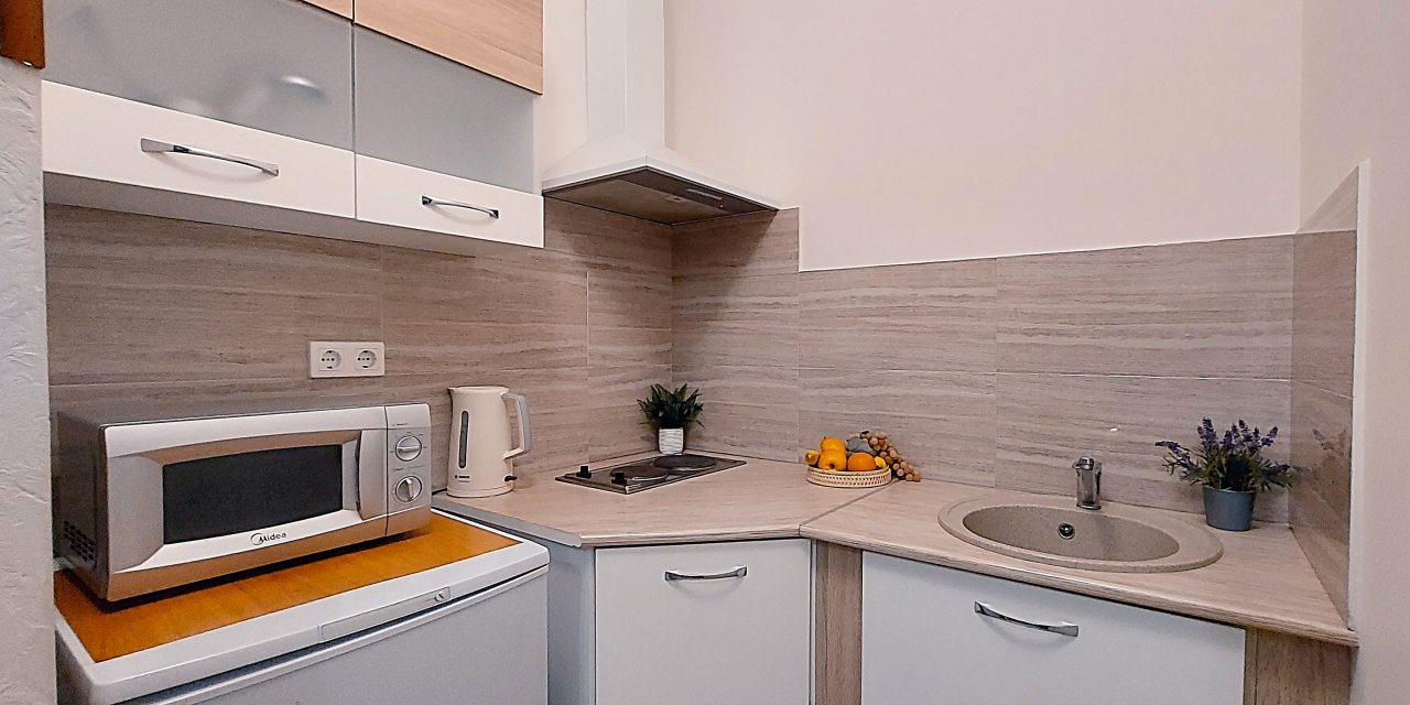 Апартаменты (Семейные с кухней и огромным балконом), Гостевой дом Анастасия