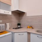 Апартаменты (Семейные с кухней и огромным балконом), Гостевой дом Анастасия