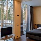 Двухместный (Зеркальный дом), Парк-Отель Хвоя Ногинск