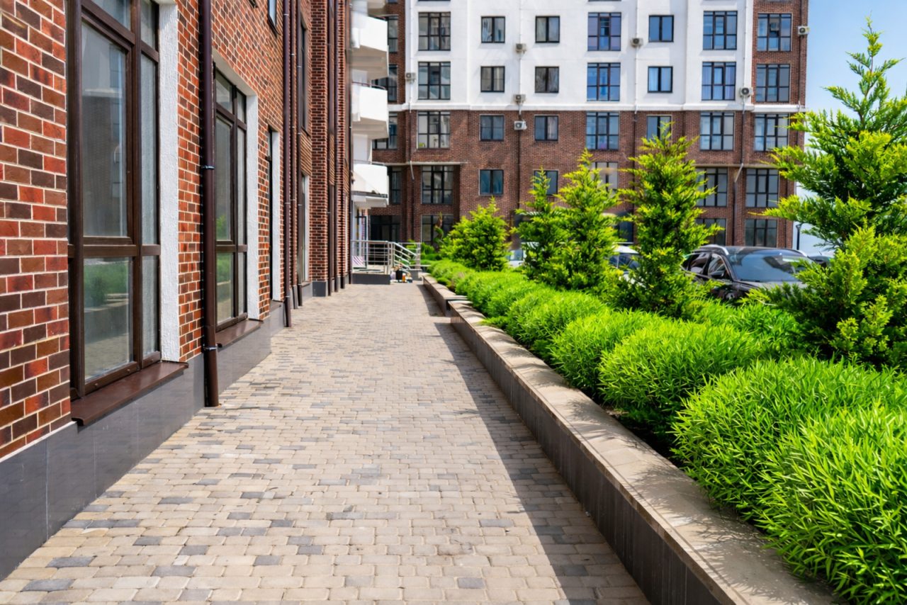 Студио (Акварель), Апартаменты Акварель