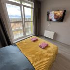 Трёхместный и более (Камбарская), Апартаменты Камбарская