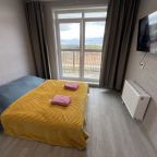 Трёхместный и более (Камбарская), Апартаменты Камбарская