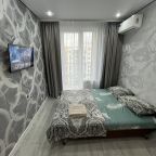 Люкс (Новая квартира с ремонтом красивым), Апартаменты На Оружейников 3/1