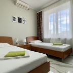 Двухместный (Стандарт 2х местный ( 2 кровати )), Гостиница Олина