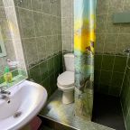Двухместный (Стандарт 2х местный ( 2 кровати )), Гостиница Олина