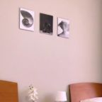 Двухместный (Стандарт 2х местный ( 2 кровати )), Гостиница Олина
