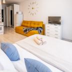 Апартаменты (Сибирь House около Кадетского корпуса), Апартаменты Сибирь House около Кадетского корпуса