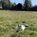 Допускается размещение домашних животных, Кемпинг Бочка на карте