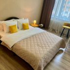 Апартаменты (Сибирь House на Московском проспекте), Апартаменты Сибирь House на Московском проспекте