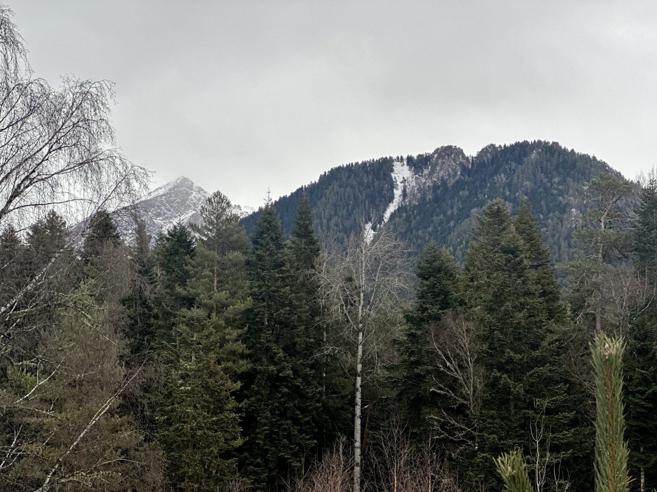 Вилла (TOP), База отдыха Три богатыря