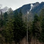 Вид на горы, База отдыха Три богатыря