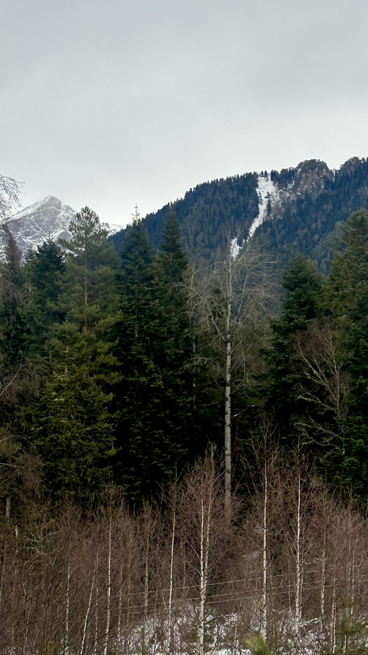 Вилла (Отдельная  