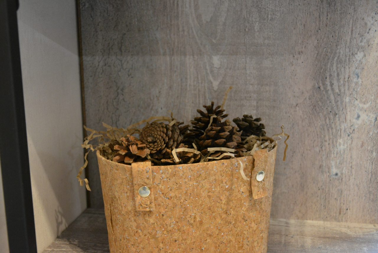 Апартаменты (Гости любят теплоту), Апартаменты Добрый дом