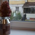 Апартаменты (Современные новые апартаменты), Апартаменты Добрый дом