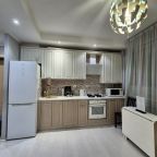 Мини-кухня, Апартаменты в Подмосковье в мкр. Голландский квартал