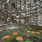 Чан на дровах под соснами, Гостевой дом Просека