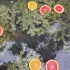 Чан на дровах под соснами, Гостевой дом Просека