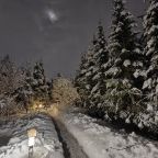 ленная дорожка дендропарка