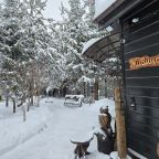 Дом (Камерный домик Живица), Коттедж Залесская дача