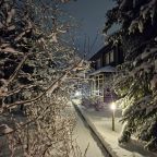 Дом (Камерный домик Живица), Коттедж Залесская дача