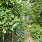 Дом (Камерный домик Живица), Коттедж Залесская дача