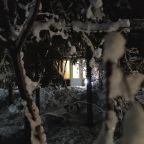 Дом (Камерный домик Живица), Коттедж Залесская дача