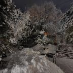 Дом (Камерный домик Живица), Коттедж Залесская дача