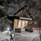 Дом (Камерный домик Живица), Коттедж Залесская дача