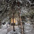 Дом (Камерный домик Живица), Коттедж Залесская дача