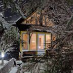 Дом (Камерный домик Живица), Коттедж Залесская дача