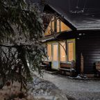 Дом (Камерный домик Живица), Коттедж Залесская дача