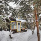 Дом (Камерный домик Живица), Коттедж Залесская дача