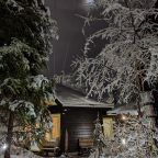 Дом (Камерный домик Живица), Коттедж Залесская дача