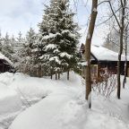 Дом (Камерный домик Живица), Коттедж Залесская дача