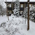 Коттедж (Большой дом ЖиВа, 215кв.м на 6 гостей), Коттедж Залесская дача