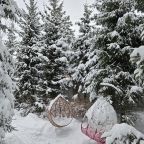 Коттедж (Большой дом ЖиВа, 215кв.м на 6 гостей), Коттедж Залесская дача